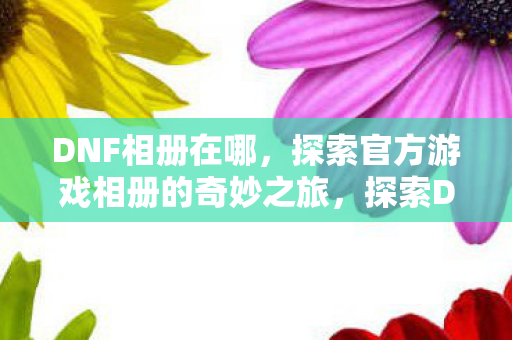 探索官方游戏相册的奇妙之旅图片
