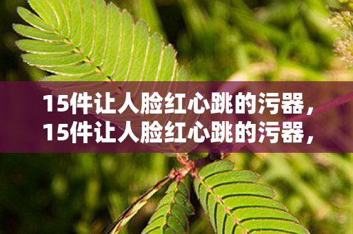 15件让人脸红心跳的污器，15件让人脸红心跳的污器，揭秘那些让人欲罢不能的神奇工具