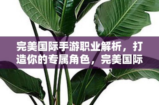 完美国际手游职业解析,打造你的专属角色,完美国际手游职业全解析,打造你的专属角色 完美国际手游职业解析,打造你的专属角色,完美国际手游职业全解析,打造你的专属角色