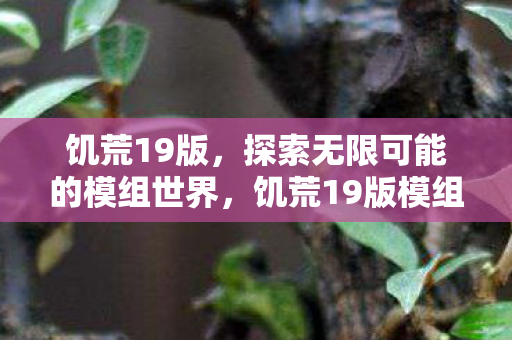饥荒19版,探索无限可能的模组世界,饥荒19版模组世界,探索无限可能 饥荒19版,探索无限可能的模组世界,饥荒19版模组世界,探索无限可能