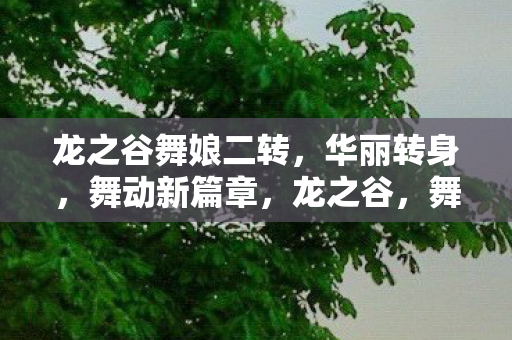龙之谷舞娘二转，华丽转身，舞动新篇章，龙之谷，舞娘华丽转身，开启新篇章