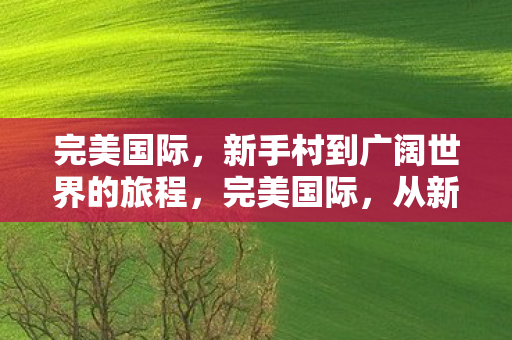 完美国际,新手村到广阔世界的旅程,完美国际,从新手村到广阔世界的奇幻旅程 完美国际,新手村到广阔世界的旅程,完美国际,从新手村到广阔世界的奇幻旅程