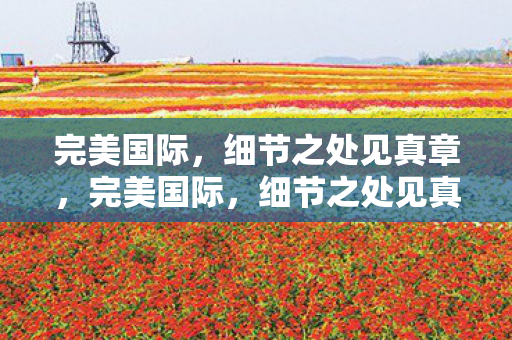 完美国际,细节之处见真章,完美国际,细节之处见真章 完美国际,细节之处见真章,完美国际,细节之处见真章