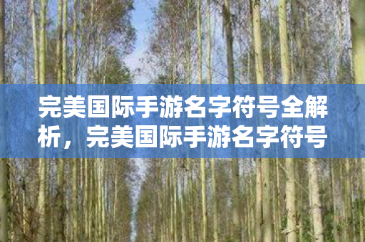 完美国际手游名字符号全解析,完美国际手游名字符号全解析 完美国际手游名字符号全解析,完美国际手游名字符号全解析