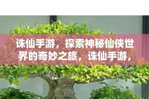 探索神秘仙侠世界的奇妙之旅图片