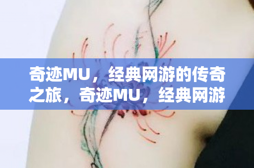 奇迹MU，经典网游的传奇之旅，奇迹MU，经典网游的传奇之旅