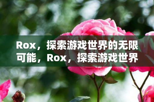 Rox，探索游戏世界的无限可能，Rox，探索游戏世界的无限可能