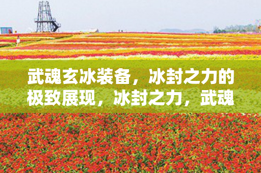 武魂玄冰装备,冰封之力的极致展现,冰封之力,武魂玄冰装备极致展现 武魂玄冰装备,冰封之力的极致展现,冰封之力,武魂玄冰装备极致展现