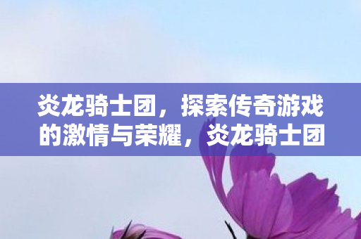 炎龙骑士团,探索传奇游戏的激情与荣耀,炎龙骑士团,传奇游戏的激情与荣耀之旅 炎龙骑士团,探索传奇游戏的激情与荣耀,炎龙骑士团,传奇游戏的激情与荣耀之旅