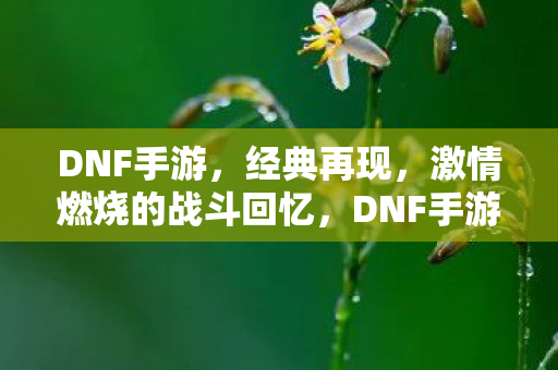 激情燃烧的战斗回忆图片