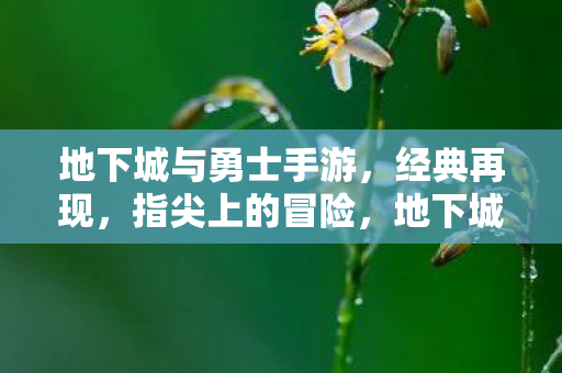 指尖上的经典冒险再现图片