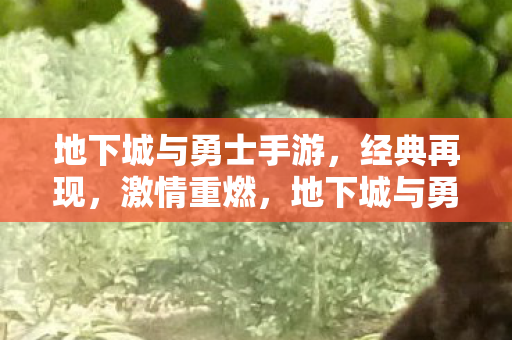 地下城与勇士手游图片