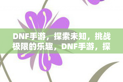 挑战极限的乐趣图片
