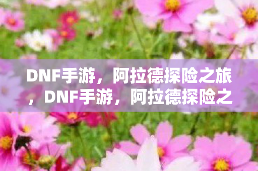 DNF手游,阿拉德探险之旅,DNF手游,阿拉德探险之旅启程 DNF手游,阿拉德探险之旅,DNF手游,阿拉德探险之旅启程