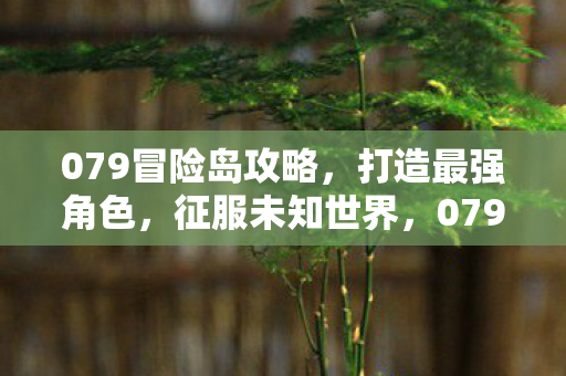 079冒险岛攻略,打造最强角色,征服未知世界,079冒险岛,打造最强角色,征服未知世界的全面攻略 079冒险岛攻略,打造最强角色,征服未知世界,079冒险岛,打造最强角色,征服未知世界的全面攻略