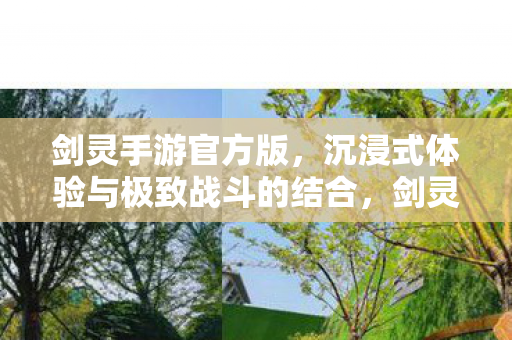 沉浸式体验与极致战斗完美结合图片
