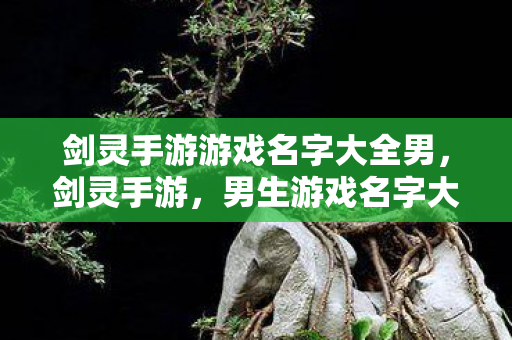 剑灵手游游戏名字大全男,剑灵手游,男生游戏名字大全 剑灵手游游戏名字大全男,剑灵手游,男生游戏名字大全
