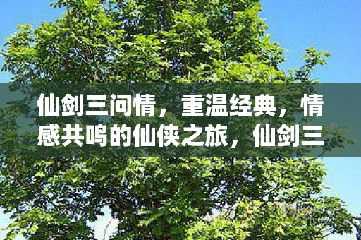 情感共鸣的仙侠之旅图片
