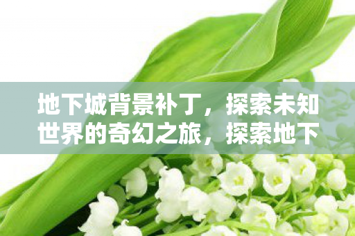 地下城背景补丁,探索未知世界的奇幻之旅,探索地下城背景补丁的奇幻之旅 地下城背景补丁,探索未知世界的奇幻之旅,探索地下城背景补丁的奇幻之旅