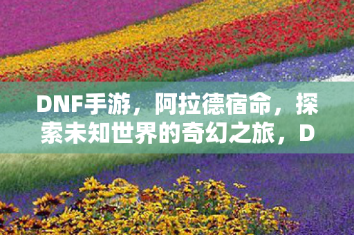 DNF手游,阿拉德宿命,探索未知世界的奇幻之旅,DNF手游,阿拉德宿命,开启探索未知世界的奇幻之旅 DNF手游,阿拉德宿命,探索未知世界的奇幻之旅,DNF手游,阿拉德宿命,开启探索未知世界的奇幻之旅