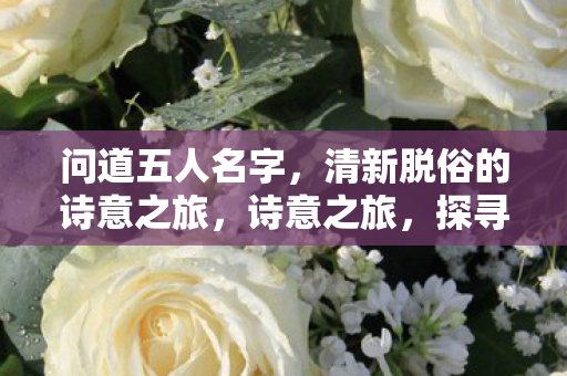 探寻五人名字中的清新与脱俗图片