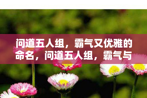 霸气与优雅并存的命名图片