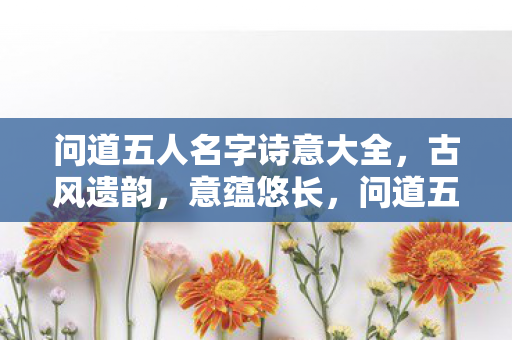 问道五人名字诗意大全图片