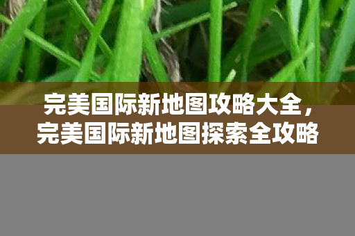 完美国际新地图攻略大全,完美国际新地图探索全攻略 完美国际新地图攻略大全,完美国际新地图探索全攻略