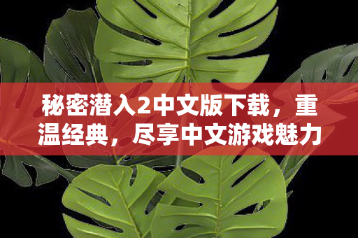 秘密潜入2中文版下载图片