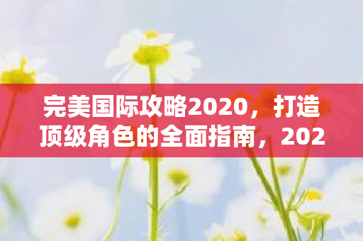 完美国际攻略2020,打造顶级角色的全面指南,2020完美国际顶级角色打造攻略,全面指南 完美国际攻略2020,打造顶级角色的全面指南,2020完美国际顶级角色打造攻略,全面指南