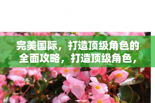 完美国际,打造顶级角色的全面攻略,打造顶级角色,完美国际全面攻略 完美国际,打造顶级角色的全面攻略,打造顶级角色,完美国际全面攻略