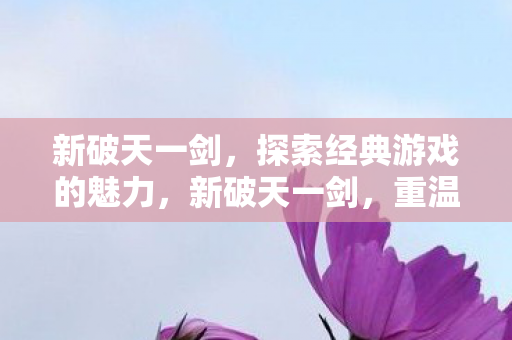 探索经典游戏的魅力图片