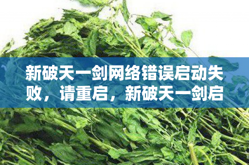 新破天一剑网络错误启动失败图片