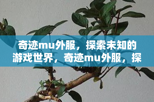 奇迹mu外服,探索未知的游戏世界,奇迹mu外服,探索未知的游戏世界之旅 奇迹mu外服,探索未知的游戏世界,奇迹mu外服,探索未知的游戏世界之旅