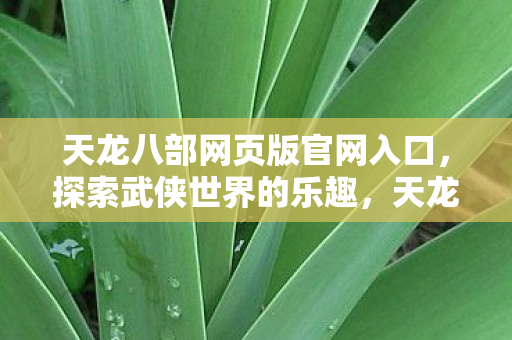 天龙八部网页版官网入口,探索武侠世界的乐趣,天龙八部网页版官网,探索武侠世界的乐趣 天龙八部网页版官网入口,探索武侠世界的乐趣,天龙八部网页版官网,探索武侠世界的乐趣