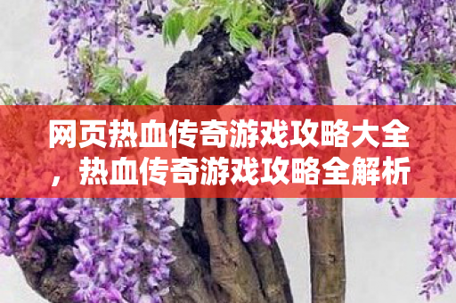 网页热血传奇游戏攻略大全图片