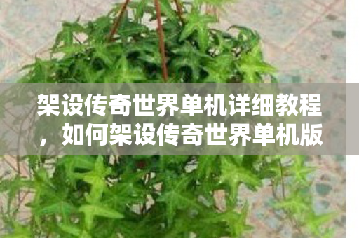 架设传奇世界单机详细教程，如何架设传奇世界单机版？详细教程来啦！