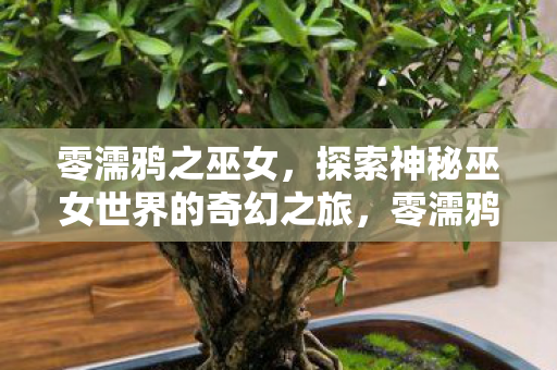 零濡鸦之巫女,探索神秘巫女世界的奇幻之旅,零濡鸦之巫女,神秘巫女世界的奇幻之旅 零濡鸦之巫女,探索神秘巫女世界的奇幻之旅,零濡鸦之巫女,神秘巫女世界的奇幻之旅