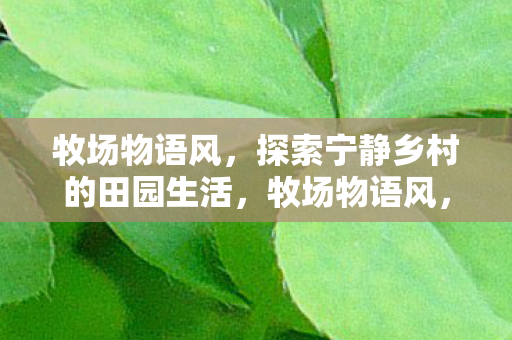 探索宁静乡村的田园生活图片