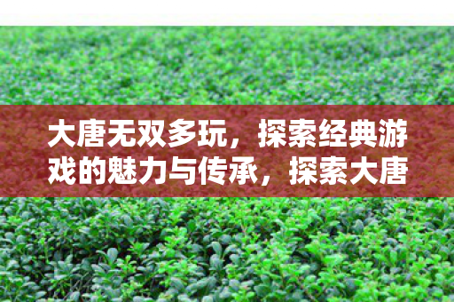 大唐无双多玩,探索经典游戏的魅力与传承,探索大唐无双经典魅力与传承 大唐无双多玩,探索经典游戏的魅力与传承,探索大唐无双经典魅力与传承