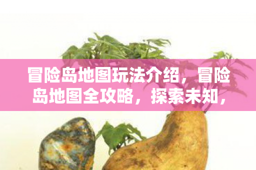 冒险岛地图玩法介绍,冒险岛地图全攻略,探索未知,挑战自我 冒险岛地图玩法介绍,冒险岛地图全攻略,探索未知,挑战自我