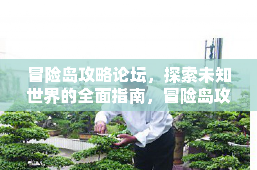 冒险岛攻略论坛,探索未知世界的全面指南,冒险岛攻略论坛,探索未知世界的全面指南 冒险岛攻略论坛,探索未知世界的全面指南,冒险岛攻略论坛,探索未知世界的全面指南