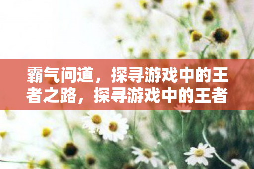 探寻游戏中的王者之路图片