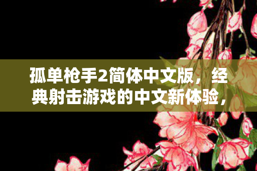 孤单枪手2简体中文版，经典射击游戏的中文新体验，孤单枪手2简体中文版，经典射击游戏的中文新体验