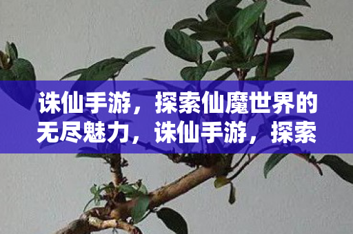 探索仙魔世界的无尽魅力图片