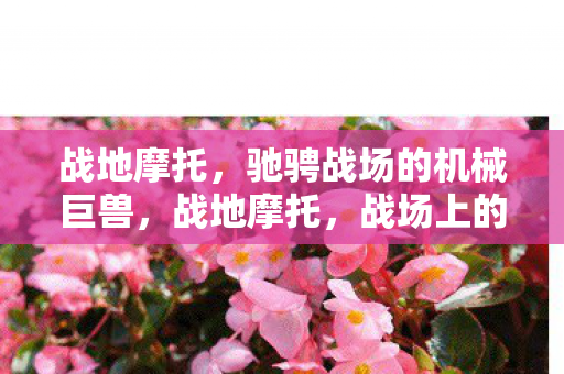 战地摩托,驰骋战场的机械巨兽,战地摩托,战场上的机械巨兽 战地摩托,驰骋战场的机械巨兽,战地摩托,战场上的机械巨兽