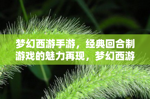 梦幻西游手游,经典回合制游戏的魅力再现,梦幻西游手游,经典回合制游戏的魅力再现 梦幻西游手游,经典回合制游戏的魅力再现,梦幻西游手游,经典回合制游戏的魅力再现