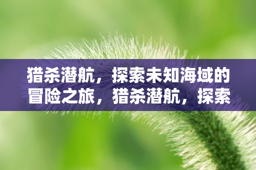 猎杀潜航，探索未知海域的冒险之旅，猎杀潜航，探索未知海域的惊险冒险之旅