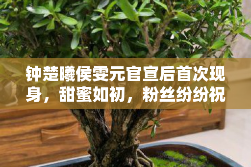 钟楚曦侯雯元官宣后首次现身,甜蜜如初,粉丝纷纷祝福,钟楚曦侯雯元官宣恋情后首现身,甜蜜恩爱获粉丝祝福 钟楚曦侯雯元官宣后首次现身,甜蜜如初,粉丝纷纷祝福,钟楚曦侯雯元官宣恋情后首现身,甜蜜恩爱获粉丝祝福