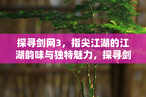 指尖江湖的江湖韵味与独特魅力图片